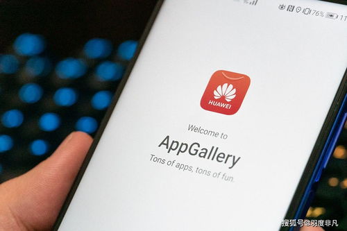 华为手机可以下载欧易吗_易欧钱包官网下载苹果手机